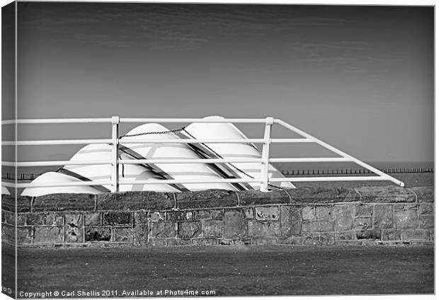 4 boats Canvas Print by Carl Shellis