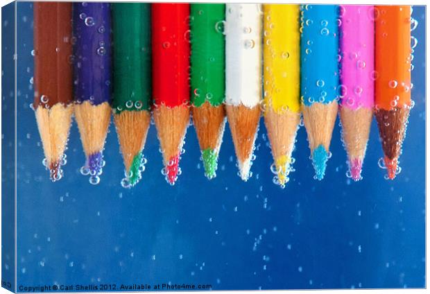 Colour pencils Canvas Print by Carl Shellis