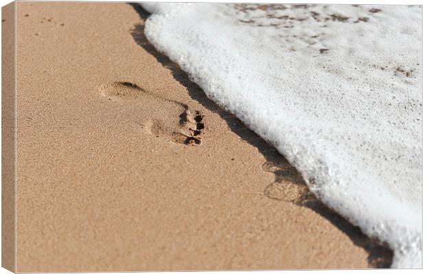 Footprint in the sand Canvas Print by Carl Shellis