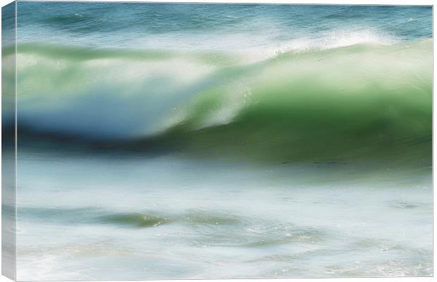 Ocean wave Canvas Print by Carl Shellis