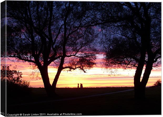 Walk in the park Canvas Print by Sarah Osterman