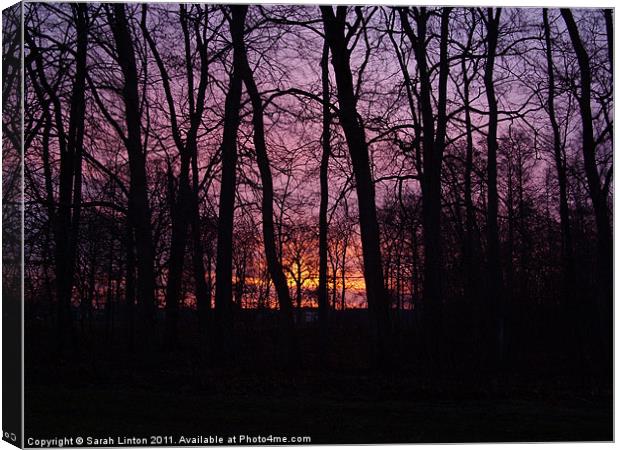 Sunrise Through the Trees Canvas Print by Sarah Osterman