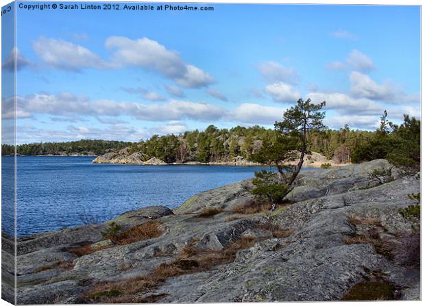 Ingarö Island 2 in colour Canvas Print by Sarah Osterman