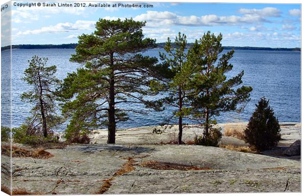 Ingarö Island 4 in colour Canvas Print by Sarah Osterman