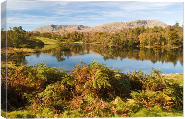 Tarn Howe Canvas Print by david rodgers