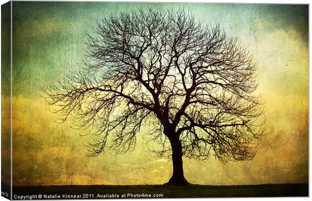 Digital Art Tree Silhouette Canvas Print by Natalie Kinnear