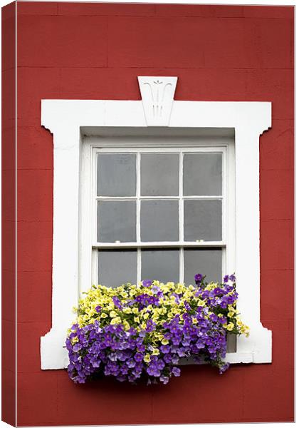 Red Wall White Window and Flowers Canvas Print by Natalie Kinnear