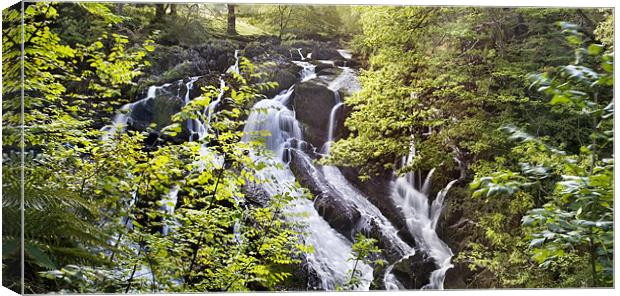Waterfall Canvas Print by Natalie Kinnear