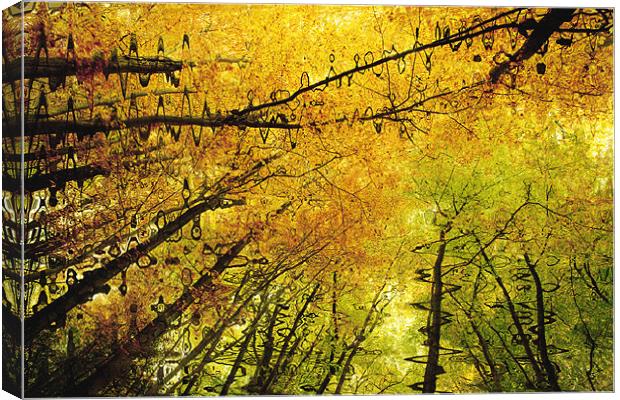 Autumn Colours Abstract V Canvas Print by Natalie Kinnear