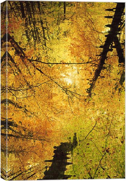 Autumn Colours Abstract III Canvas Print by Natalie Kinnear