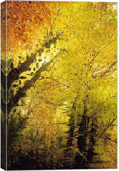Autumn Colours Abstract I Canvas Print by Natalie Kinnear