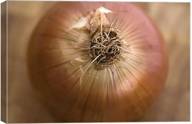 Onion Wall Art Canvas Print by Natalie Kinnear