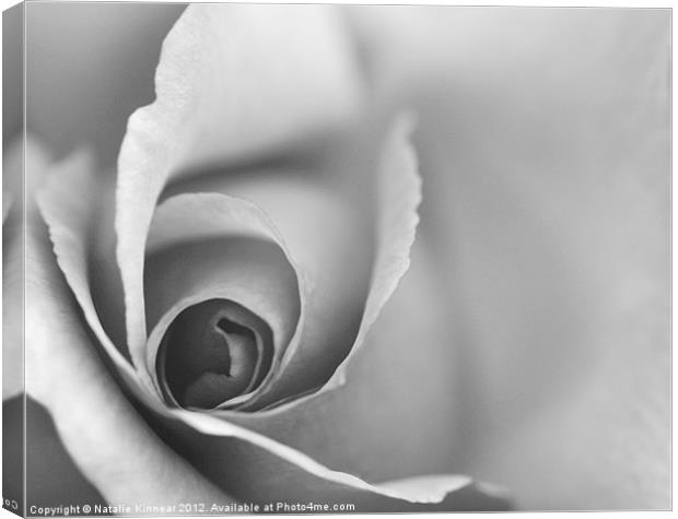Romantic Black and White Floral Wall Art Canvas Print by Natalie Kinnear