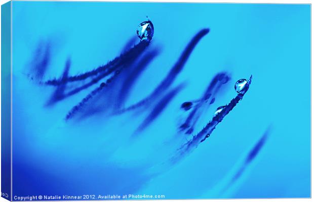 Water Droplets Abstract in Blue Canvas Print by Natalie Kinnear