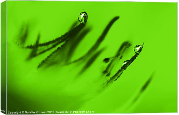 Water Droplets Abstract in Lime Green Canvas Print by Natalie Kinnear