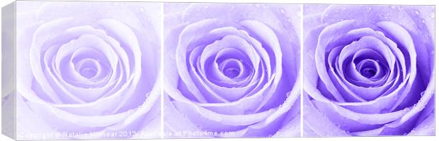 Purple Rose with Water Droplets Triptych Canvas Print by Natalie Kinnear