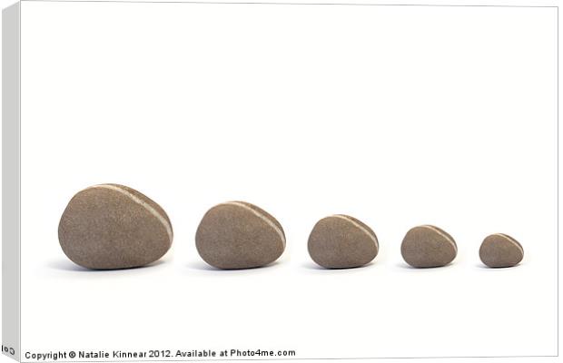Five Pebbles Canvas Print by Natalie Kinnear