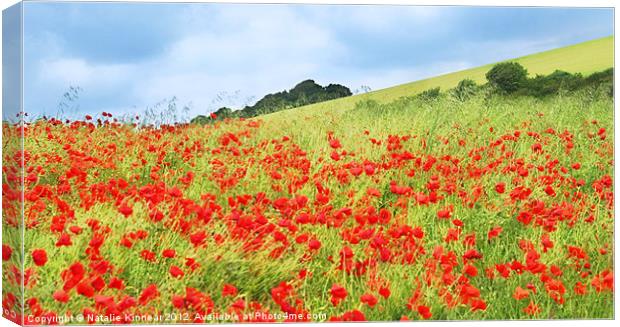 Field of Poppies Canvas Print by Natalie Kinnear