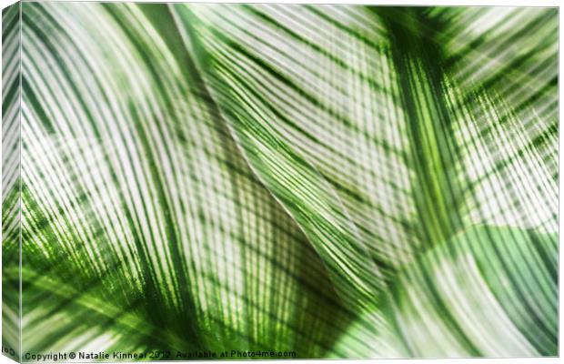 Nature Leaves Abstract in Green Canvas Print by Natalie Kinnear