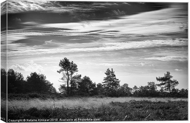 Ashdown Forest in Black and White Canvas Print by Natalie Kinnear