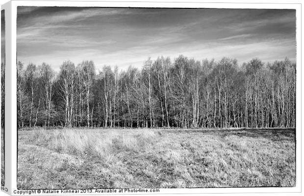 Ashdown Forest Trees in a Row Canvas Print by Natalie Kinnear