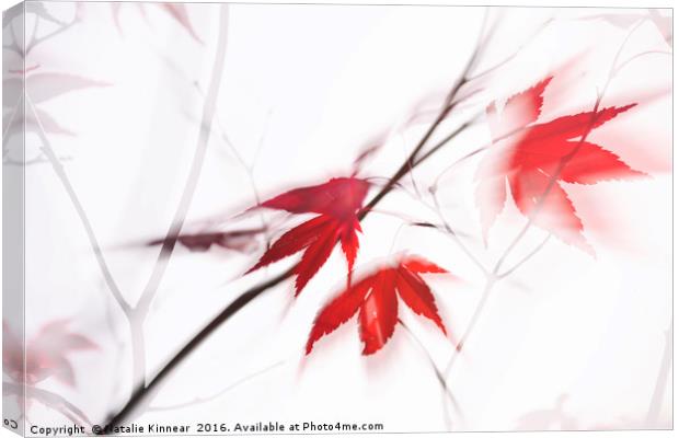 Red Maple Leaves Abstract 1 Canvas Print by Natalie Kinnear