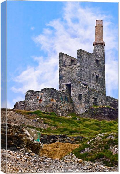 Old Copper Mine, West Cork Canvas Print by Jane McIlroy