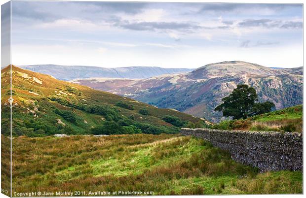 Borrowdale Valley, Lake District, Cumbria Canvas Print by Jane McIlroy
