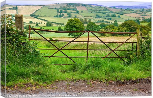 South Armagh Countryside, Northern Ireland Canvas Print by Jane McIlroy