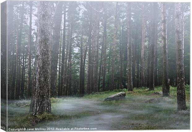 Mysterious Foggy Woodland Scene Canvas Print by Jane McIlroy
