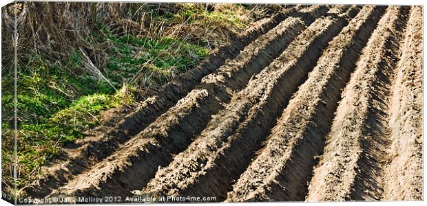 Ploughed Field Canvas Print by Jane McIlroy