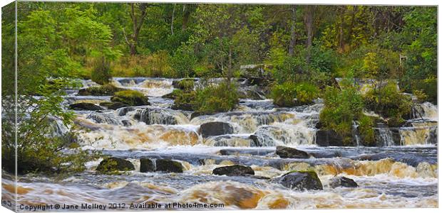 The Falls of Dochart, Killin, Scotland Canvas Print by Jane McIlroy