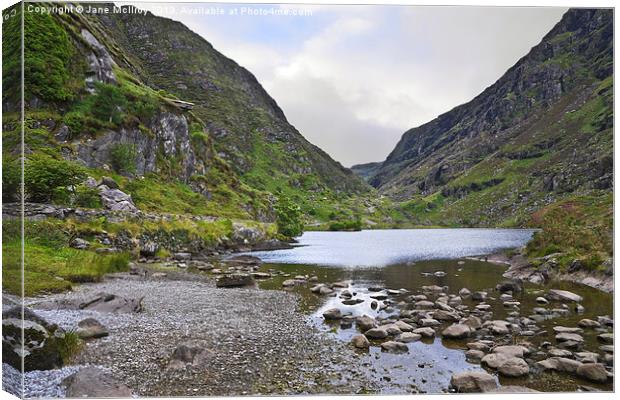 Lake at the Gap of Dunloe Canvas Print by Jane McIlroy