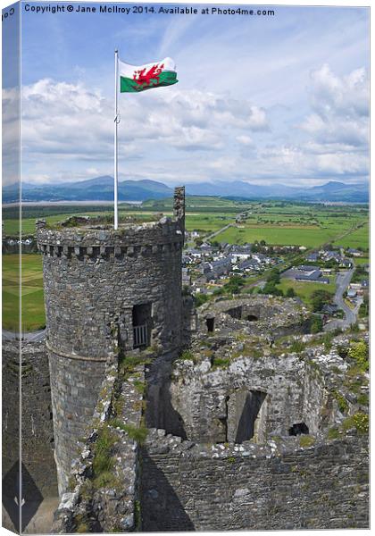 Harlech Castle Tower Canvas Print by Jane McIlroy