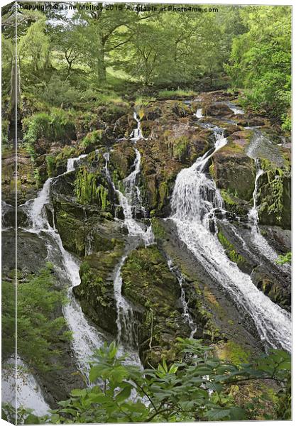 Swallow Falls Canvas Print by Jane McIlroy