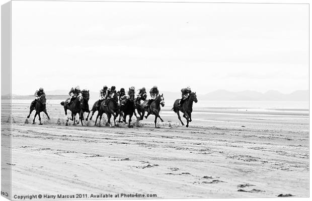 Horse Racing on Laytown Beach Canvas Print by Harry Marcus