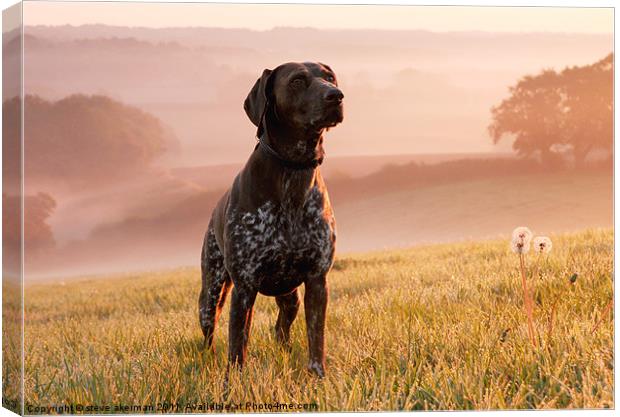 Awaiting instruction Canvas Print by steve akerman