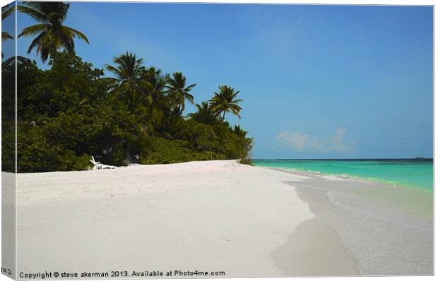 Maldives beach and palm trees Canvas Print by steve akerman