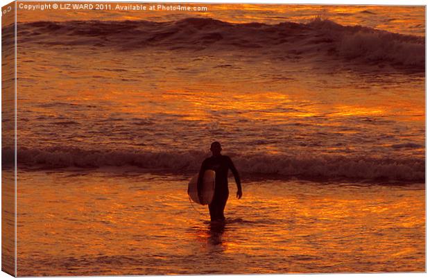 Sunset Surfing Canvas Print by Liz Ward