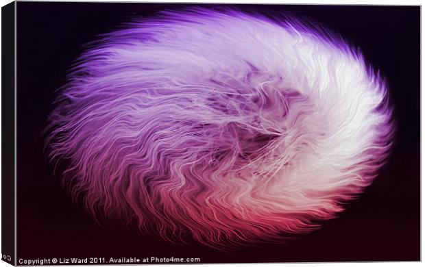 Pink Fluffy Canvas Print by Liz Ward