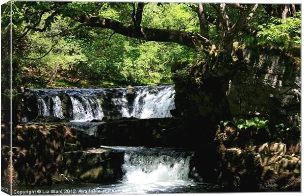 Brecon Beacons Waterfalls Canvas Print by Liz Ward