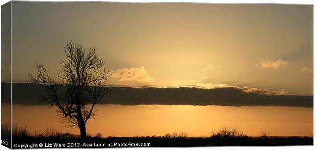 Sunset over Essex Canvas Print by Liz Ward