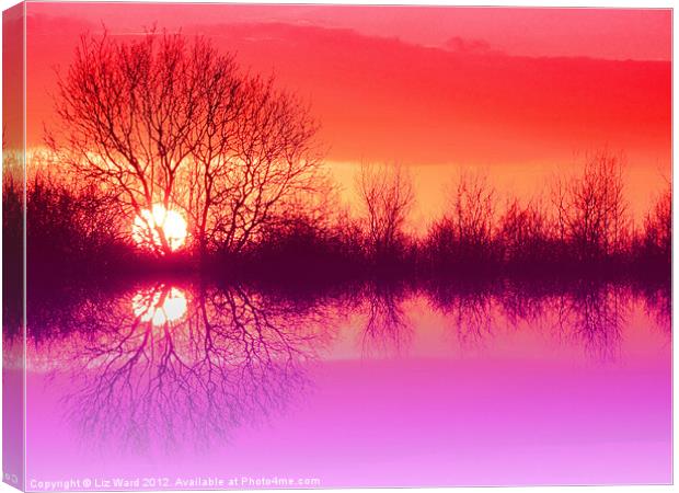 Sunset Reflection Canvas Print by Liz Ward