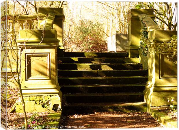 Steps in the Sunshine Canvas Print by Liz Ward