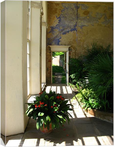 The Conservatory Canvas Print by Liz Ward