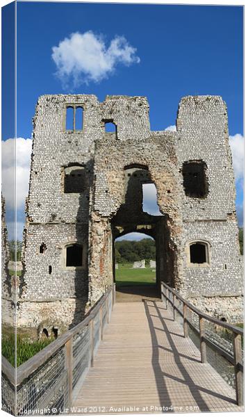 Baconsthorpe Castle Canvas Print by Liz Ward