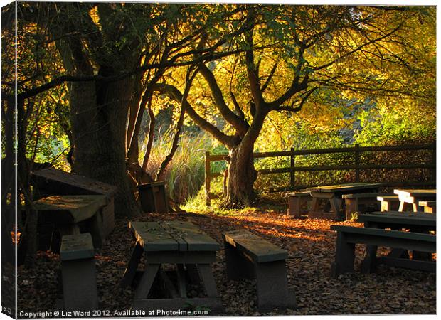 Autumn in the Classroom Canvas Print by Liz Ward