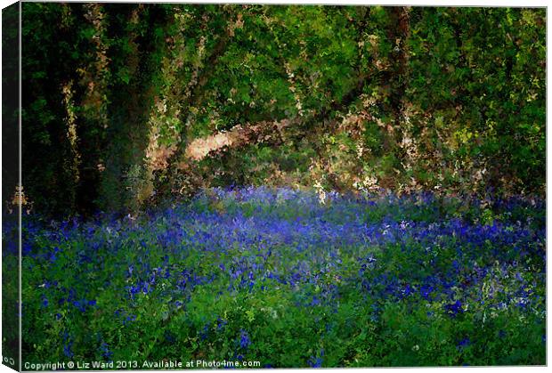 Bluebell in abstract Canvas Print by Liz Ward