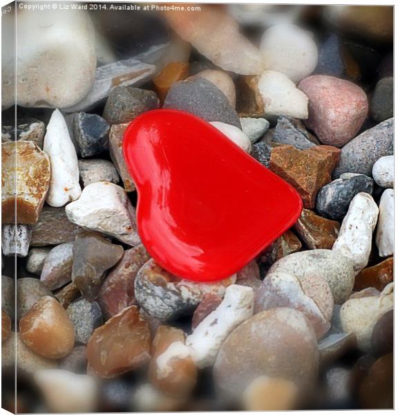 Red Heart Canvas Print by Liz Ward