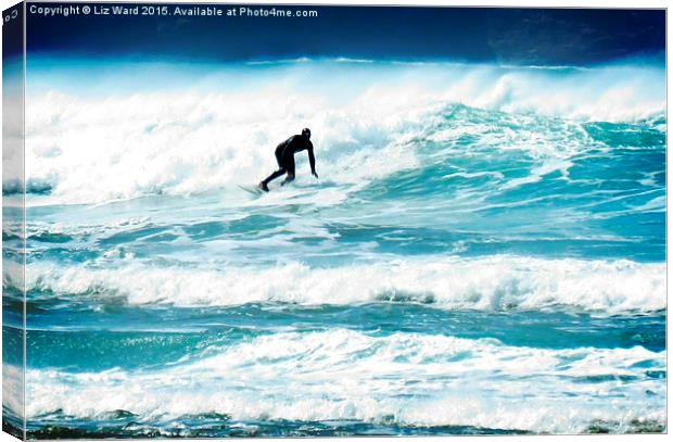  Surfs up Canvas Print by Liz Ward